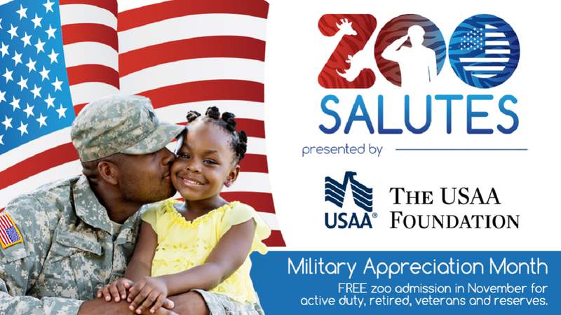 Military personnel, veterans can get free admission to the San Antonio Zoo in November
