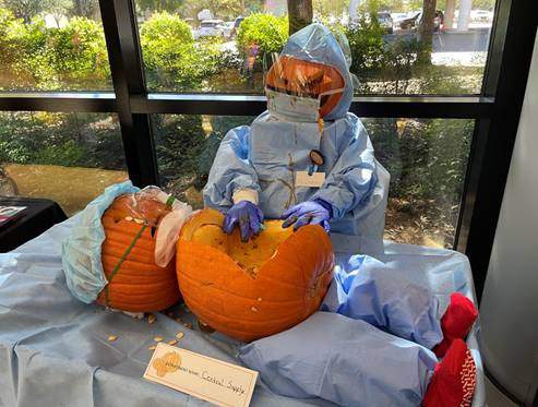 Baptist Health System staff gets in spooky spirit with pumpkin decorating contests