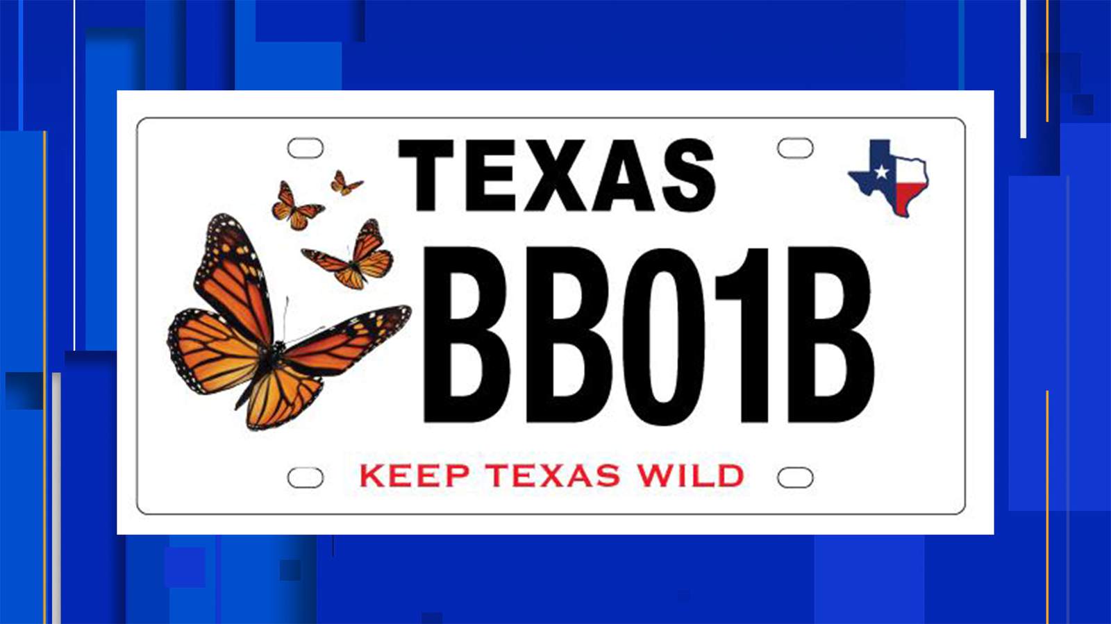 You’ll be able to support monarch butterflies with this new Texas license plate