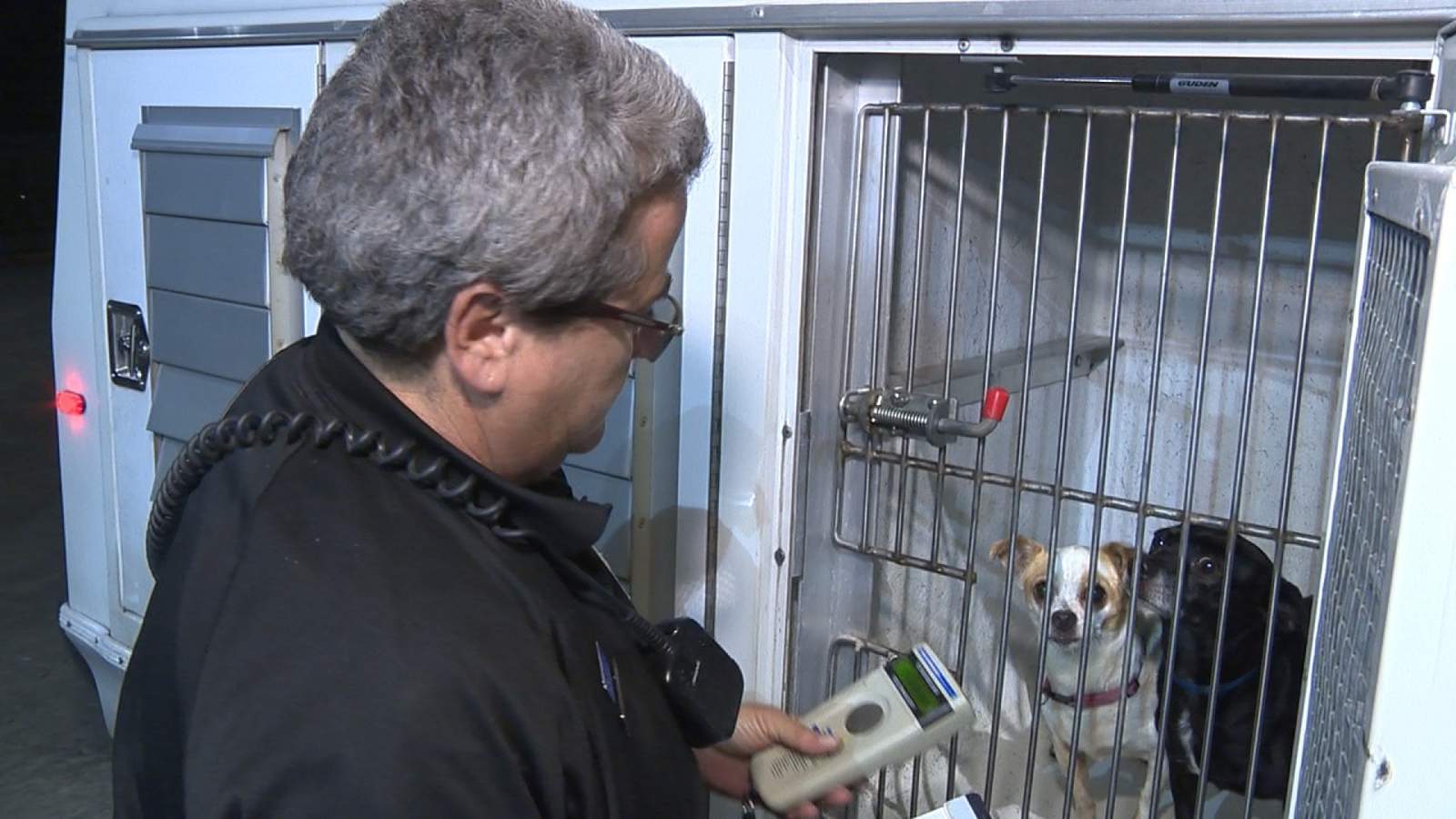 'While You Were Sleeping': Animal Care Services officers on job long after office hours