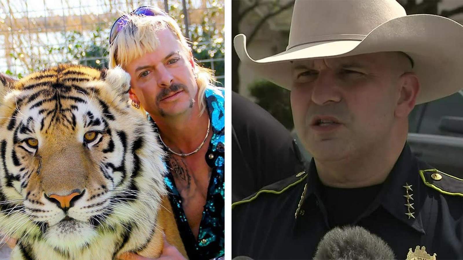 Bexar County Sheriff blames Netflix “Tiger King” after third tiger seizure this year