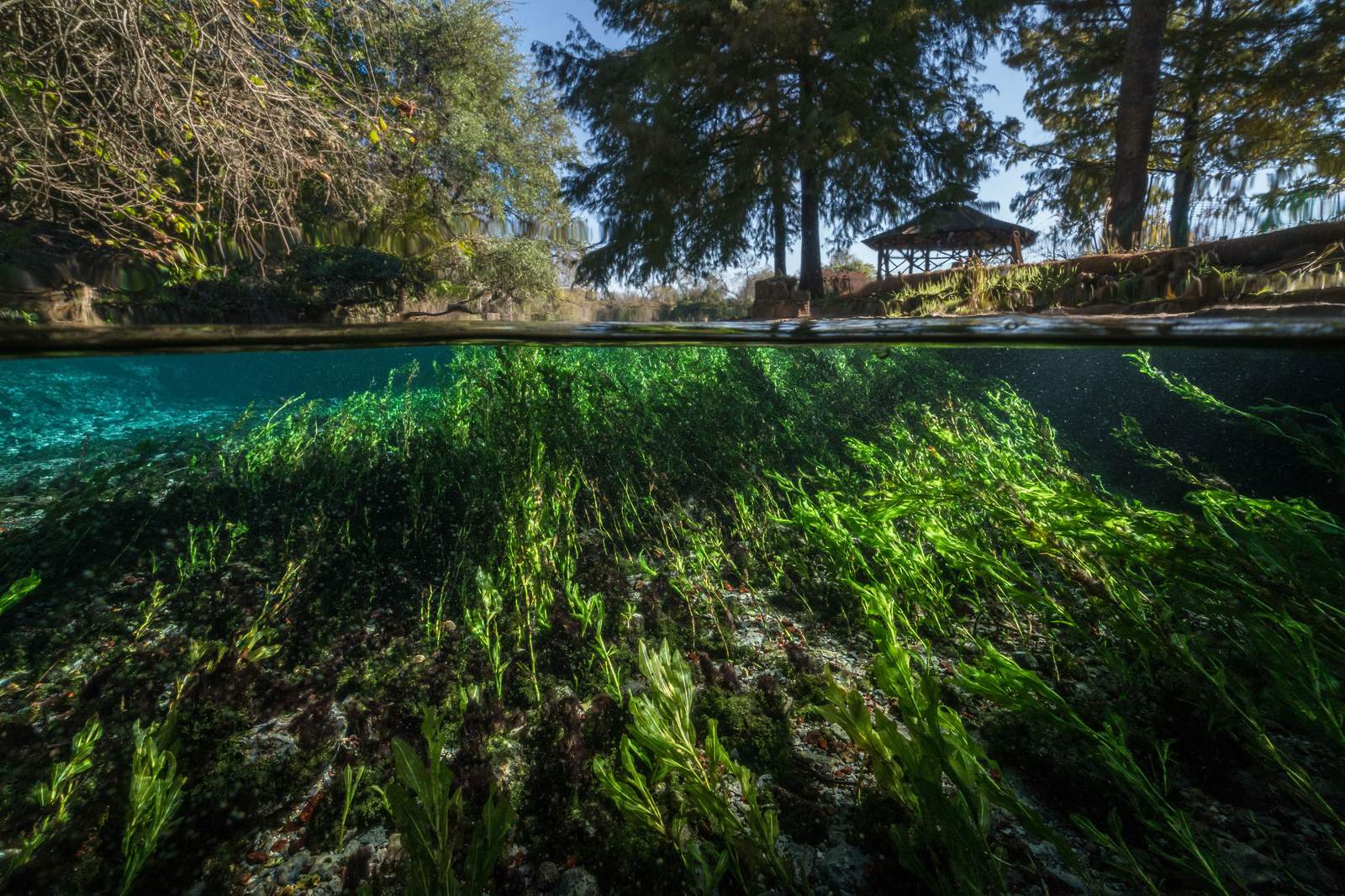 New nature project could bring 100-mile hiking trail connecting San Antonio and Austin