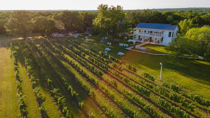 30+ vineyards and wineries worth visiting near San Antonio