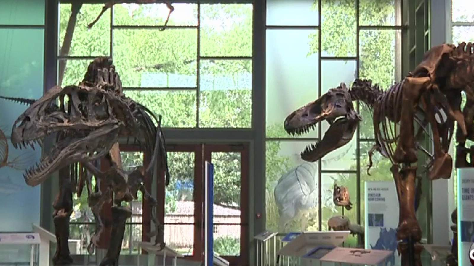 Witte Museum reopening later this month with safety guidelines