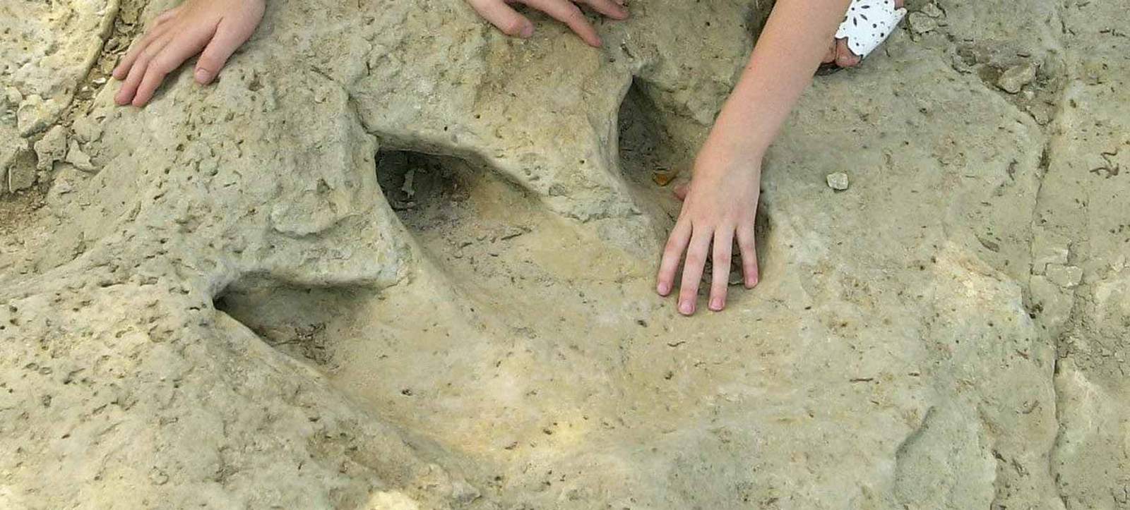 You can walk where the dinosaurs roamed at this Texas state park