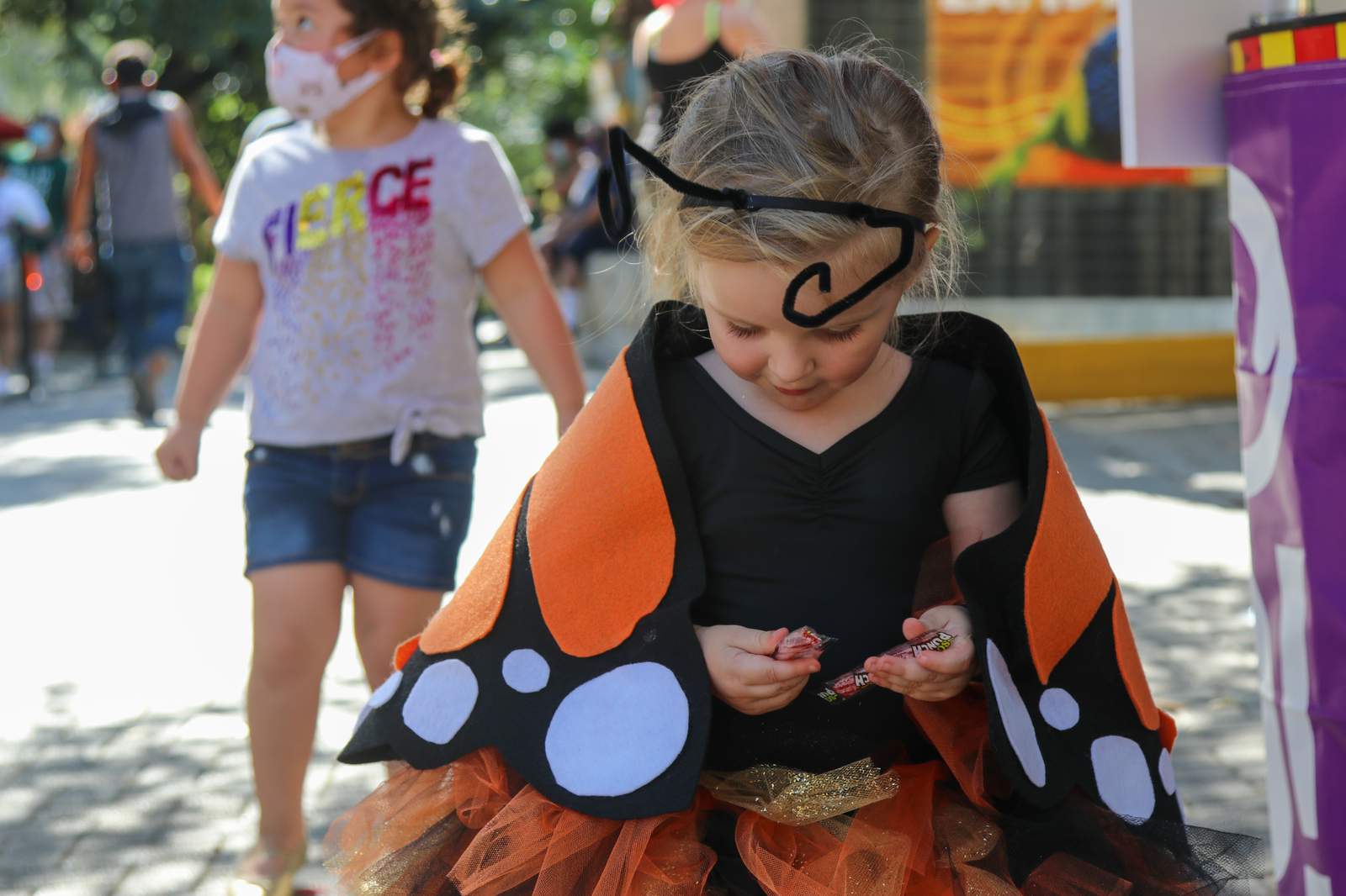 Free candy anyone? San Antonio Zoo hosts Día De Candy, will hand out candy to trick-or-treaters