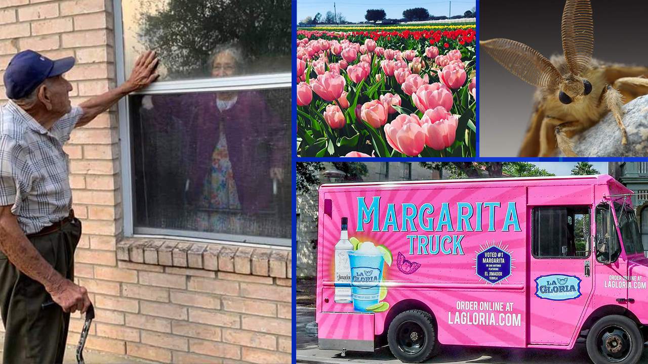 Margarita deliveries and murder hornets: The top 20 stories shared on KSAT’s Facebook page this year