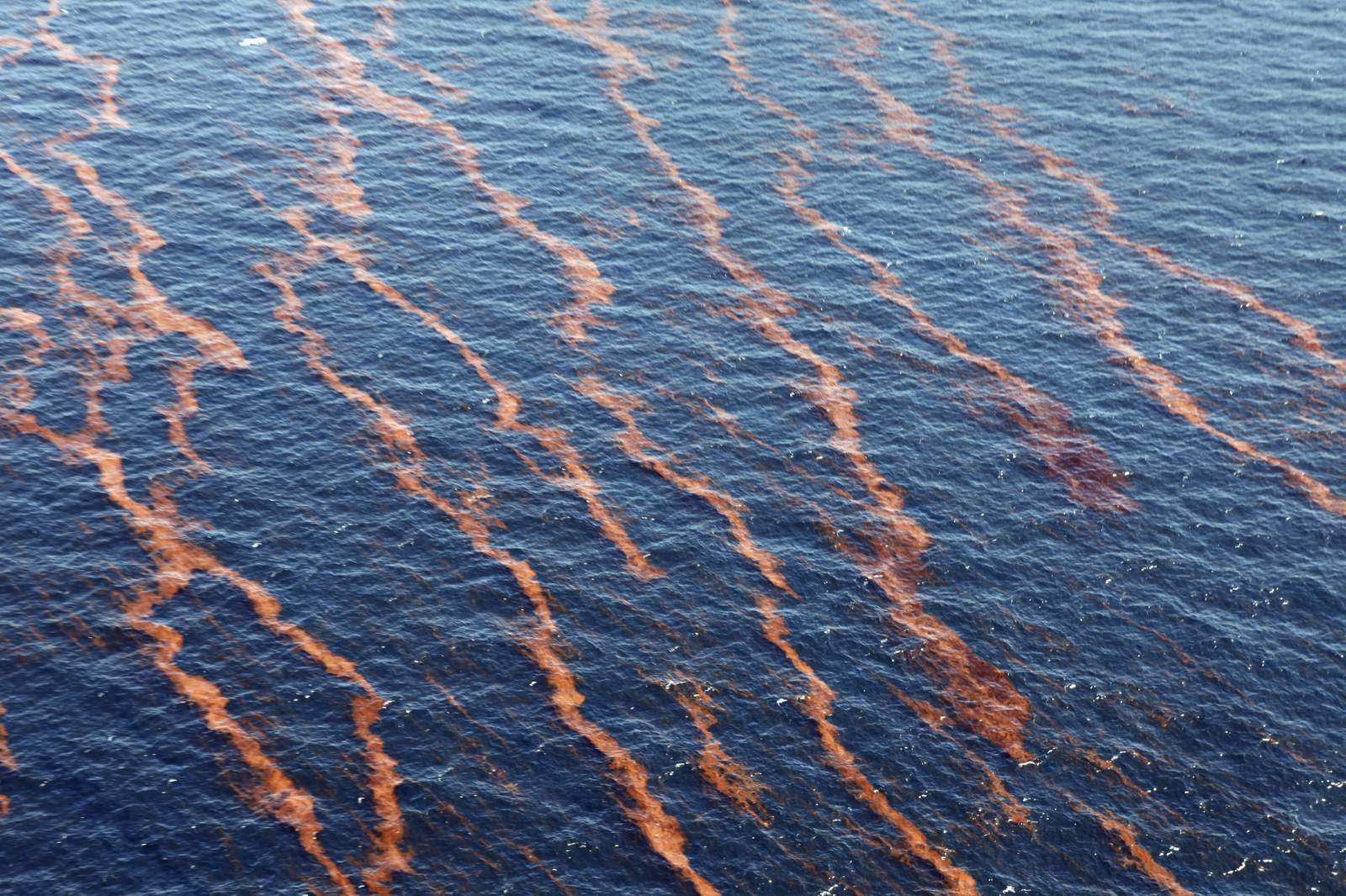 Suit: Feds ignore risk of huge spills to endangered species