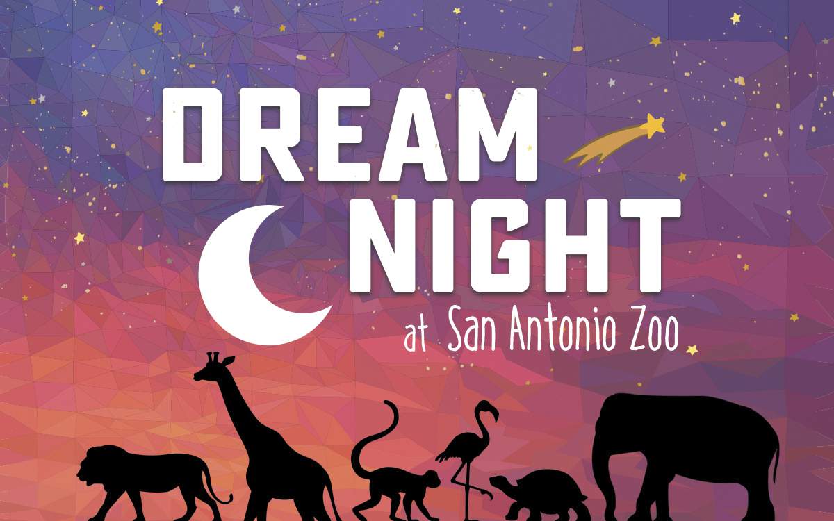 Hospitalized children in San Antonio can see zoo animals up close in virtual Dream Night event