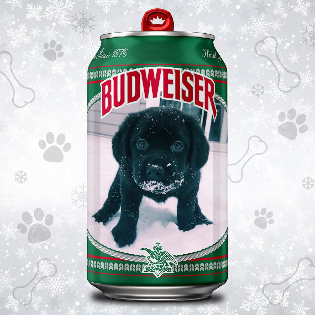 Want your dog on a Budweiser can? Here’s how to make your wish come true