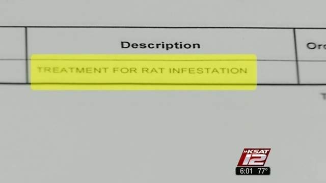 Rat, roach problem plagues SAHA