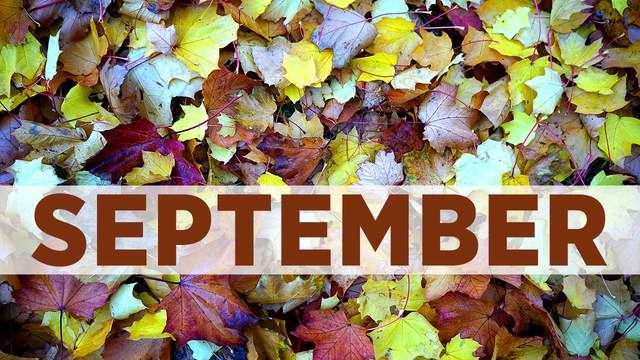 September birthday photos