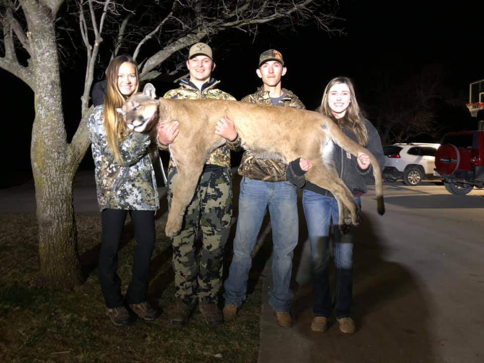 Mountain lion weighing in at 150 pounds shot in North Texas