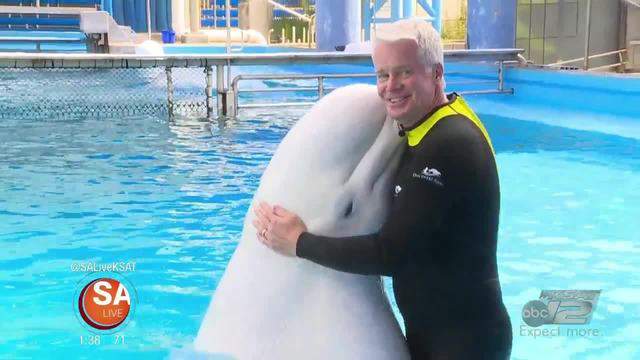 No description available