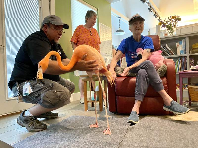 San Antonio Zoo makes terminally ill cancer patient’s flamingo dream a reality
