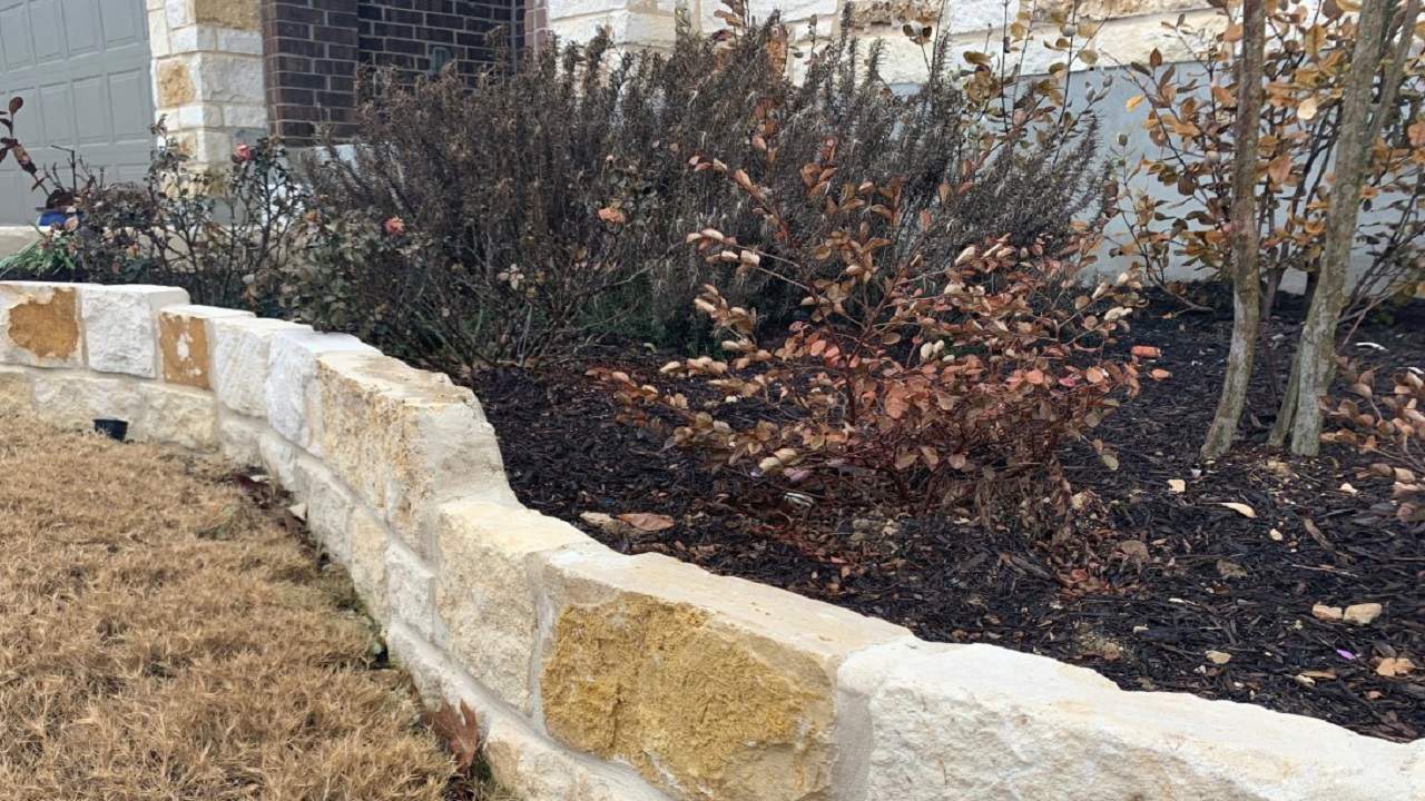 San Antonio-area landscaper offers advice for stressed, damaged plants and grass after winter storm