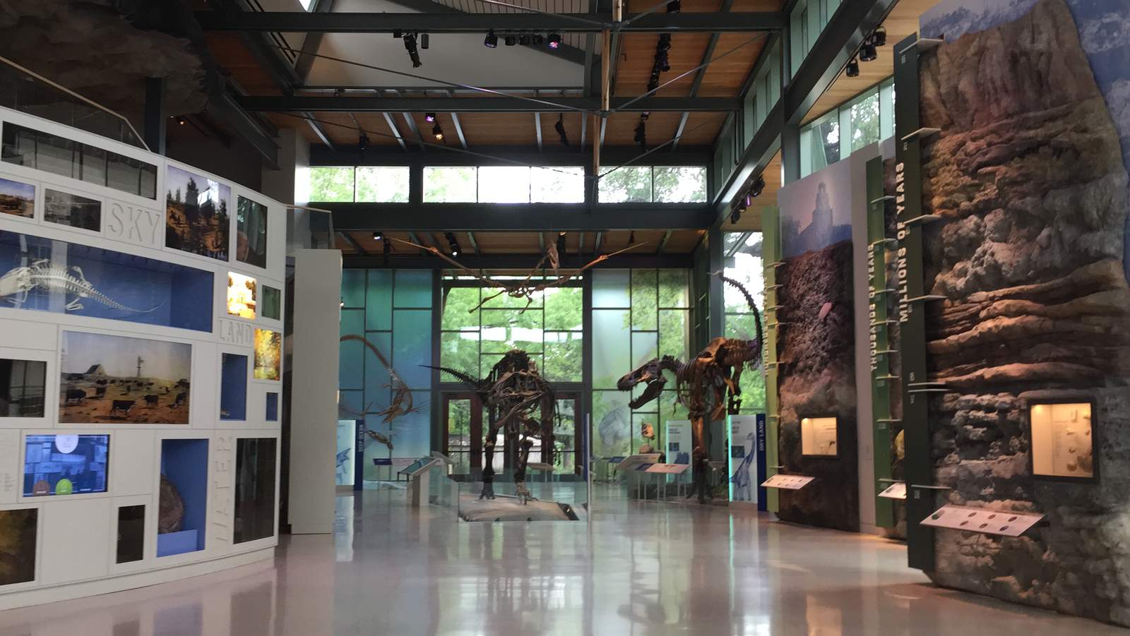 Witte Museum reopens July 1 with added safety protocols for guests