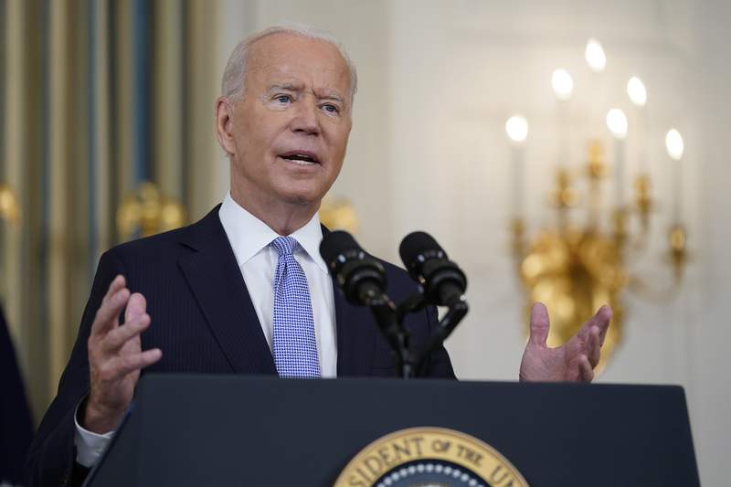 Biden's plan: 'Too big to fail' can be too big to describe