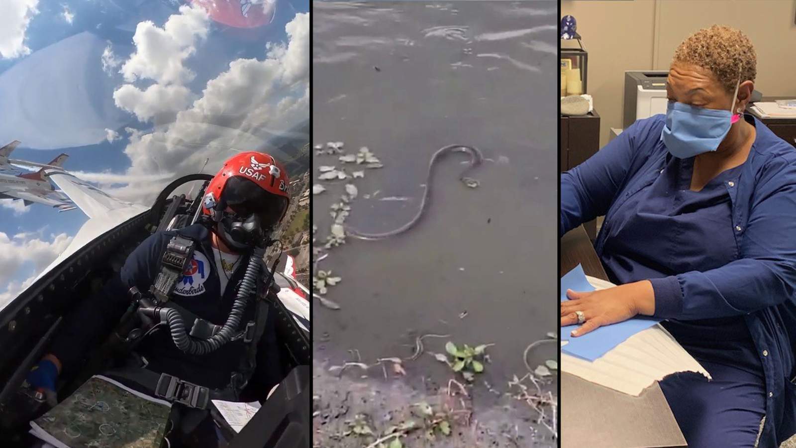 From Thunderbirds to snakes: KSAT.com’s 10 most-watched videos of 2020