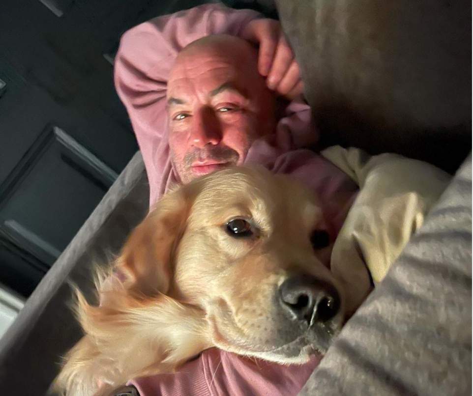 Joe Rogan’s dog has an Instagram and it’s adorable