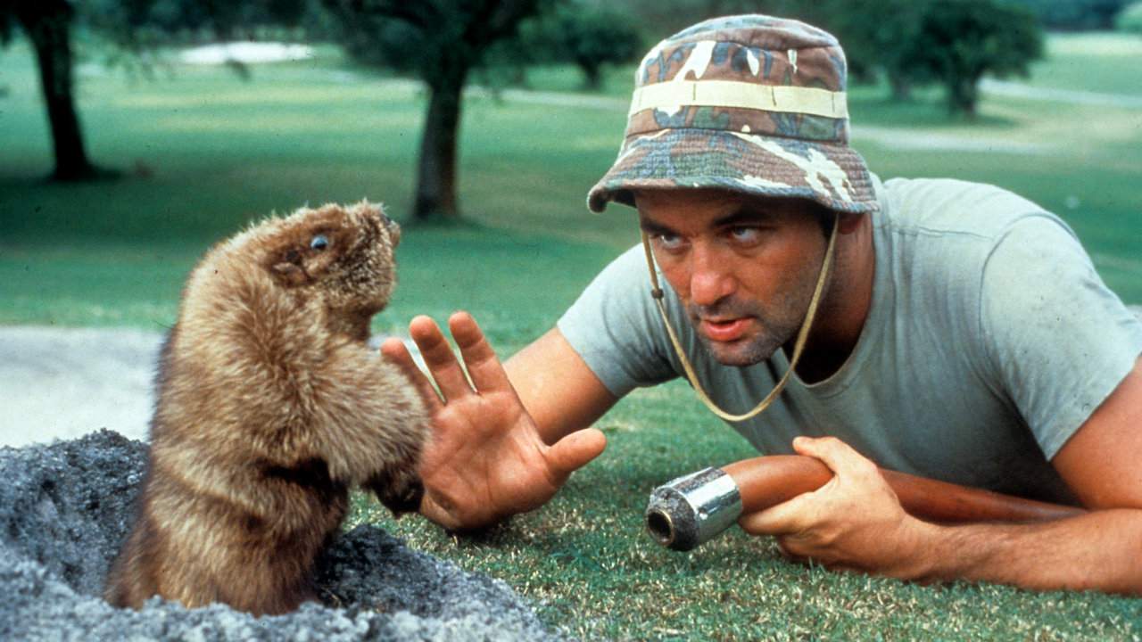 Caddyshack at 40 years: What was your favorite line?