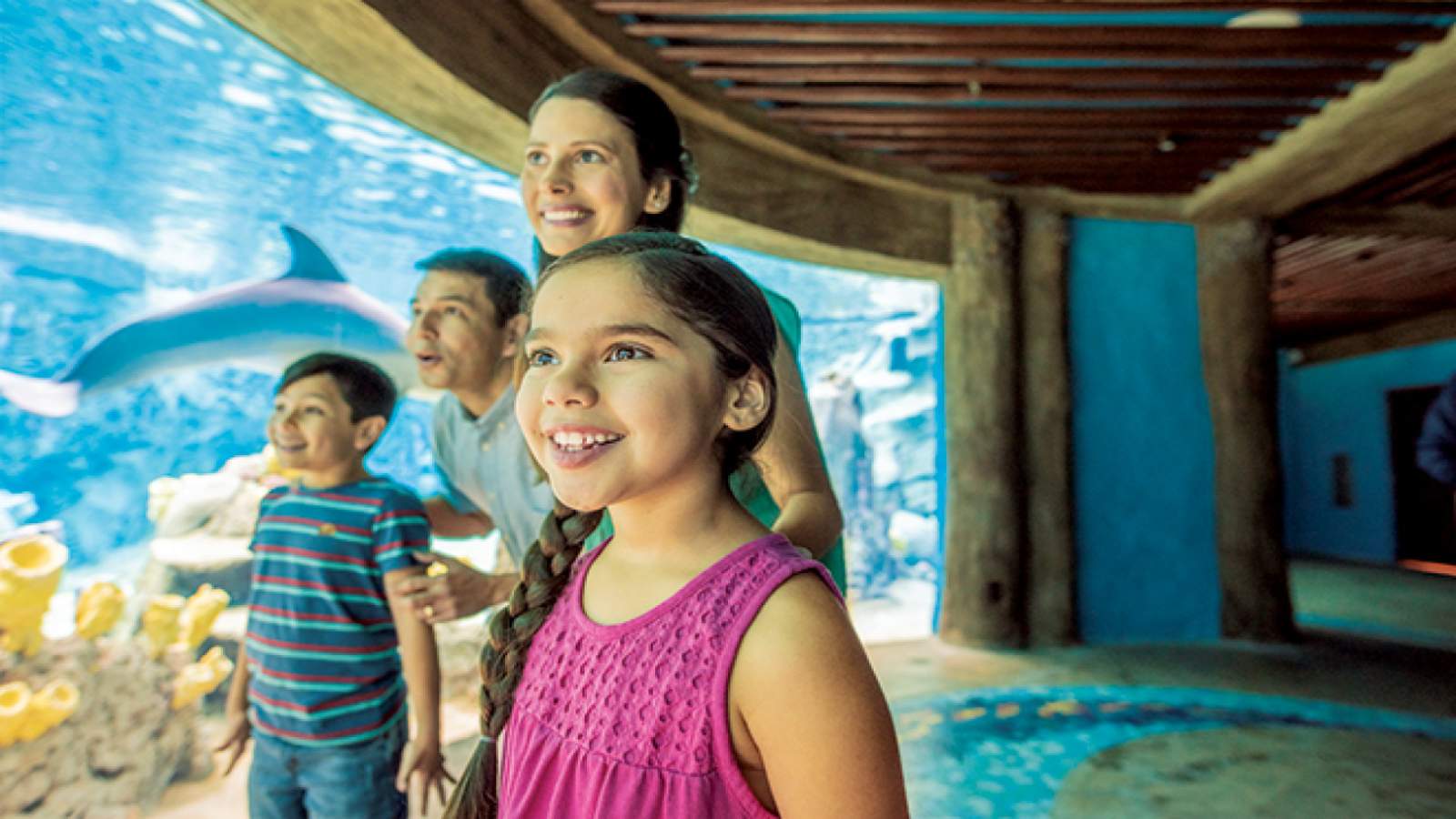 Aquatica is now open with enhanced health, safety protocols in place; SeaWorld is next