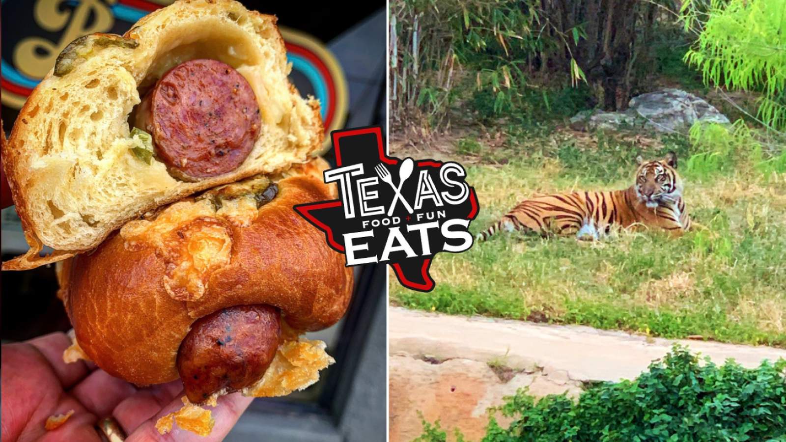 Texas Eats Ep. 18 : Wild about Food at the SA Zoo