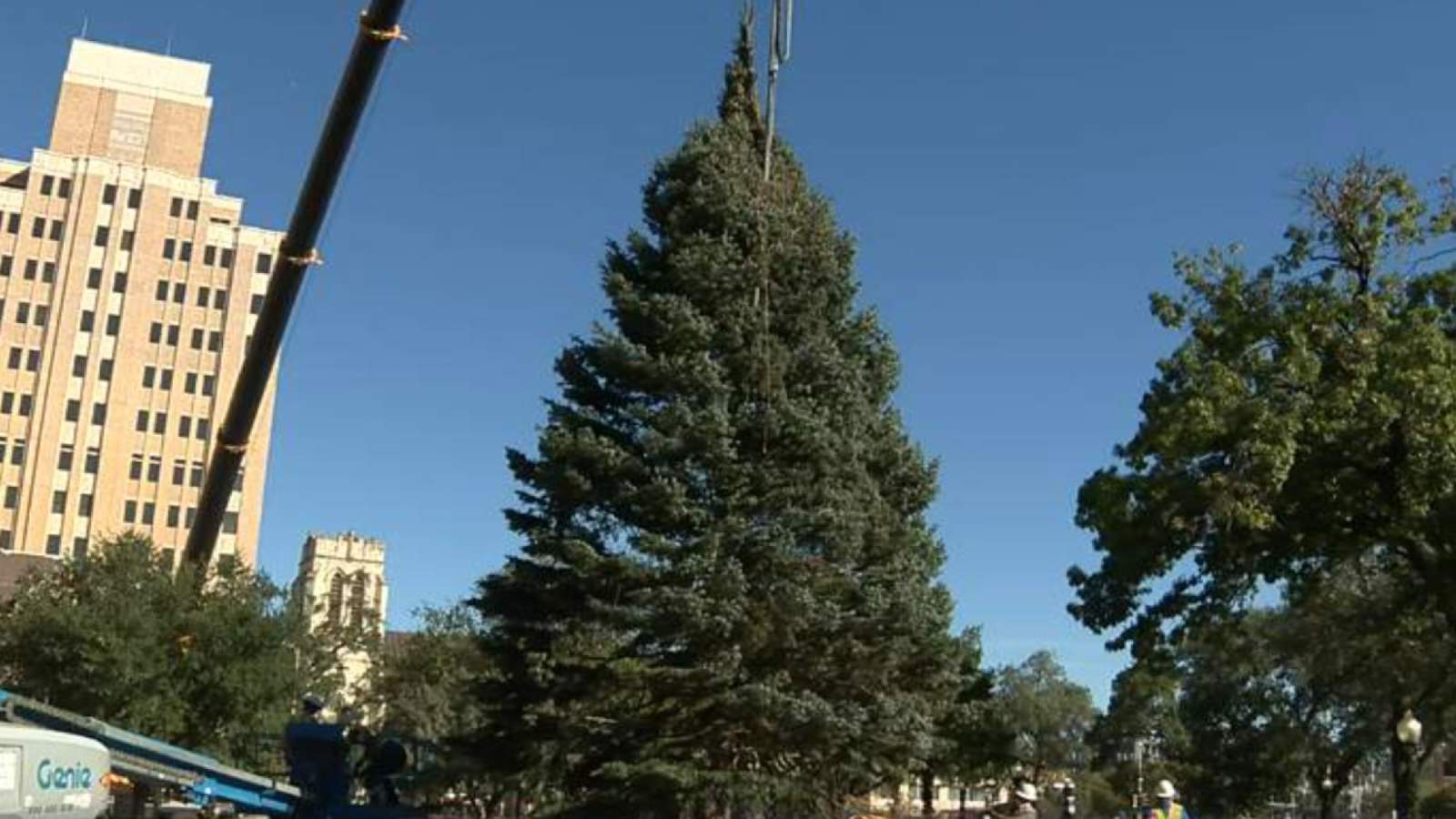 San Antonio’s 2020 Christmas tree arrives at Travis Park