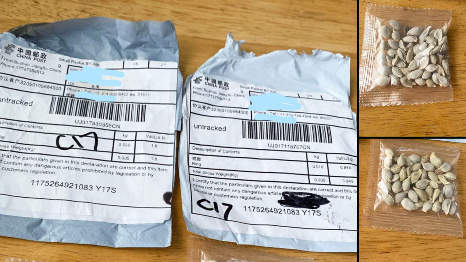 Mystery seeds from China showing up in Texas mailboxes