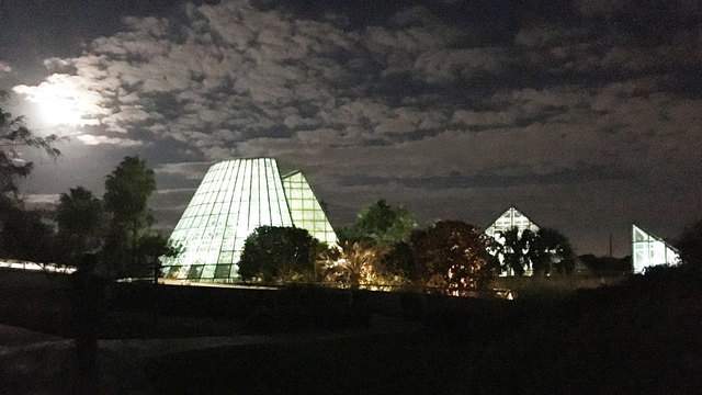 San Antonio Botanical Garden hosting Halloween events for families, adults throughout October