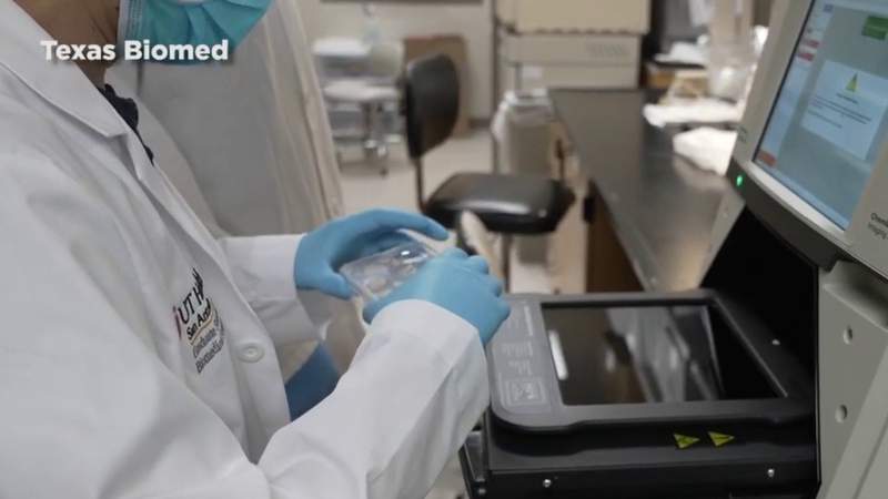 Disinfecting technologies under study at Texas Biomed
