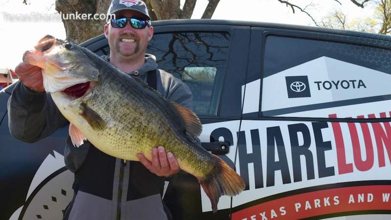Texas bets big on bass leading to even bigger fish