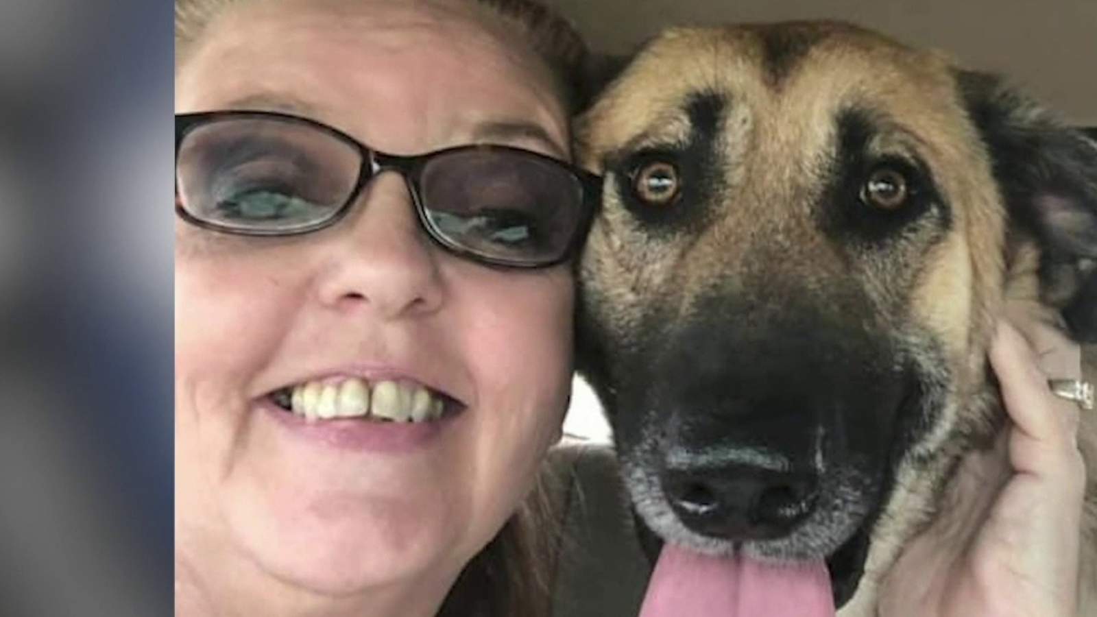 What’s Up South Texas!: Woman rescues shelter dogs to train as service dogs for vets with PTSD