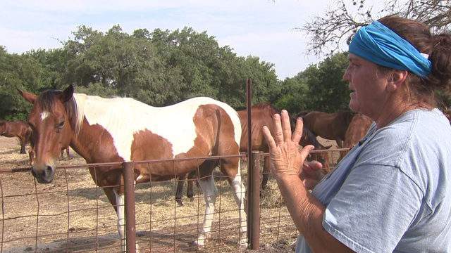 No description available