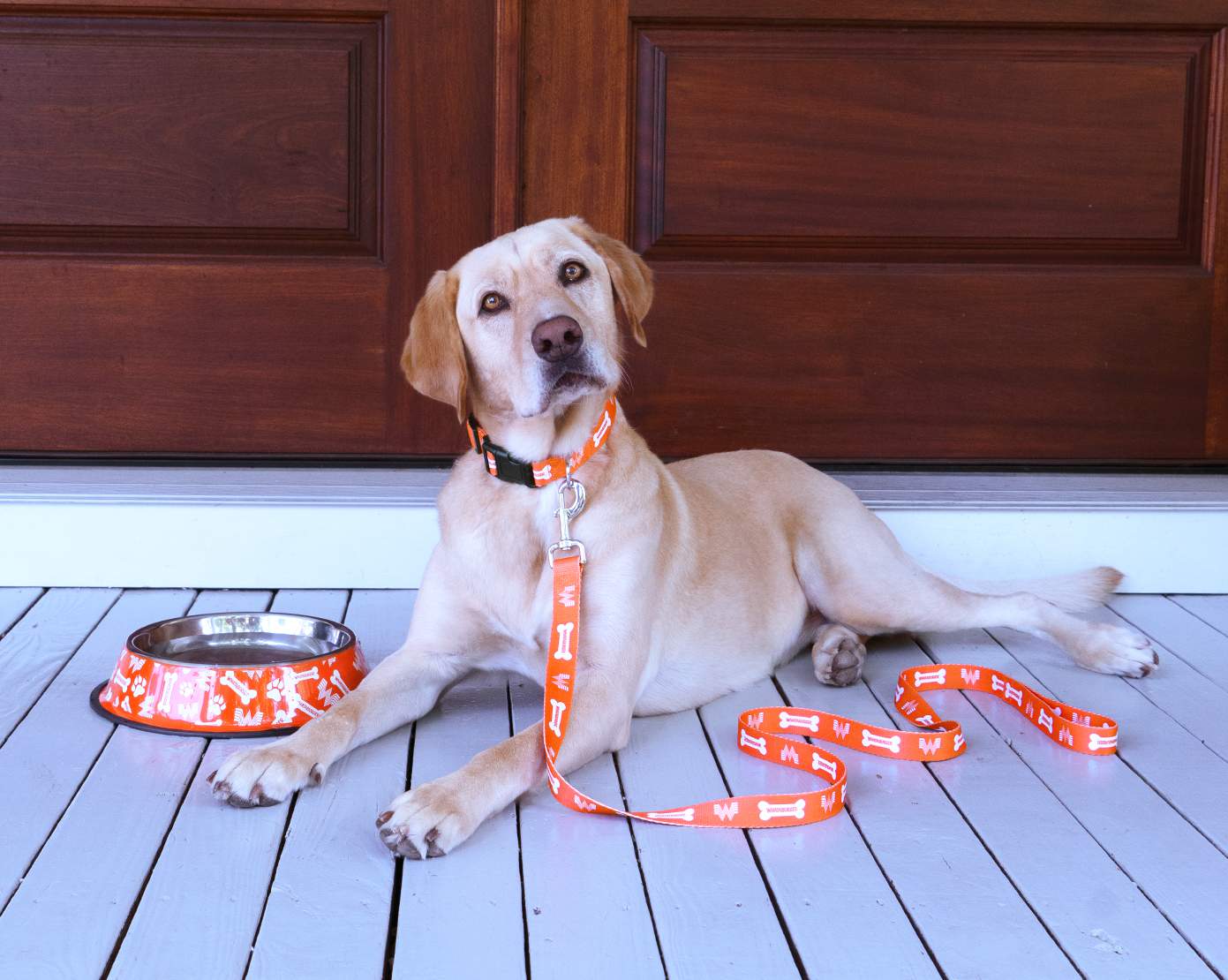 Whataburger launches pet collection with leash, collar, bowls on National Dog Day
