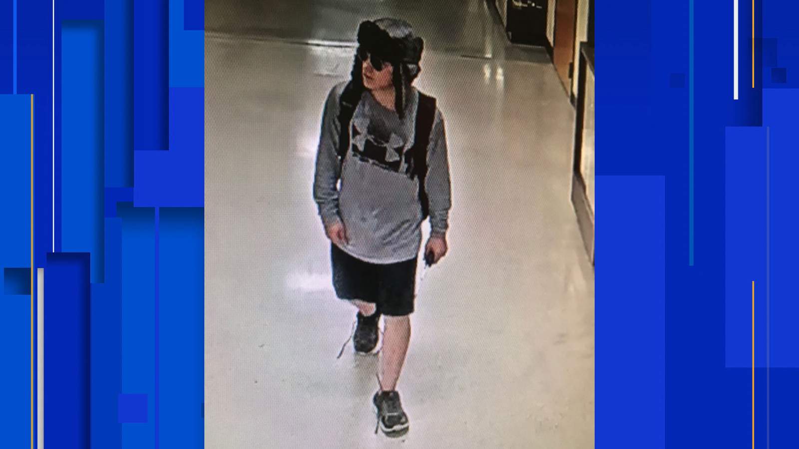 Police ask for help identifying person who broke into Steele High School
