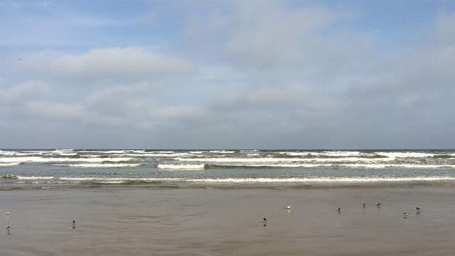 Padre Island National Seashore closes north, south beaches due to Tropical Storm Cristobal