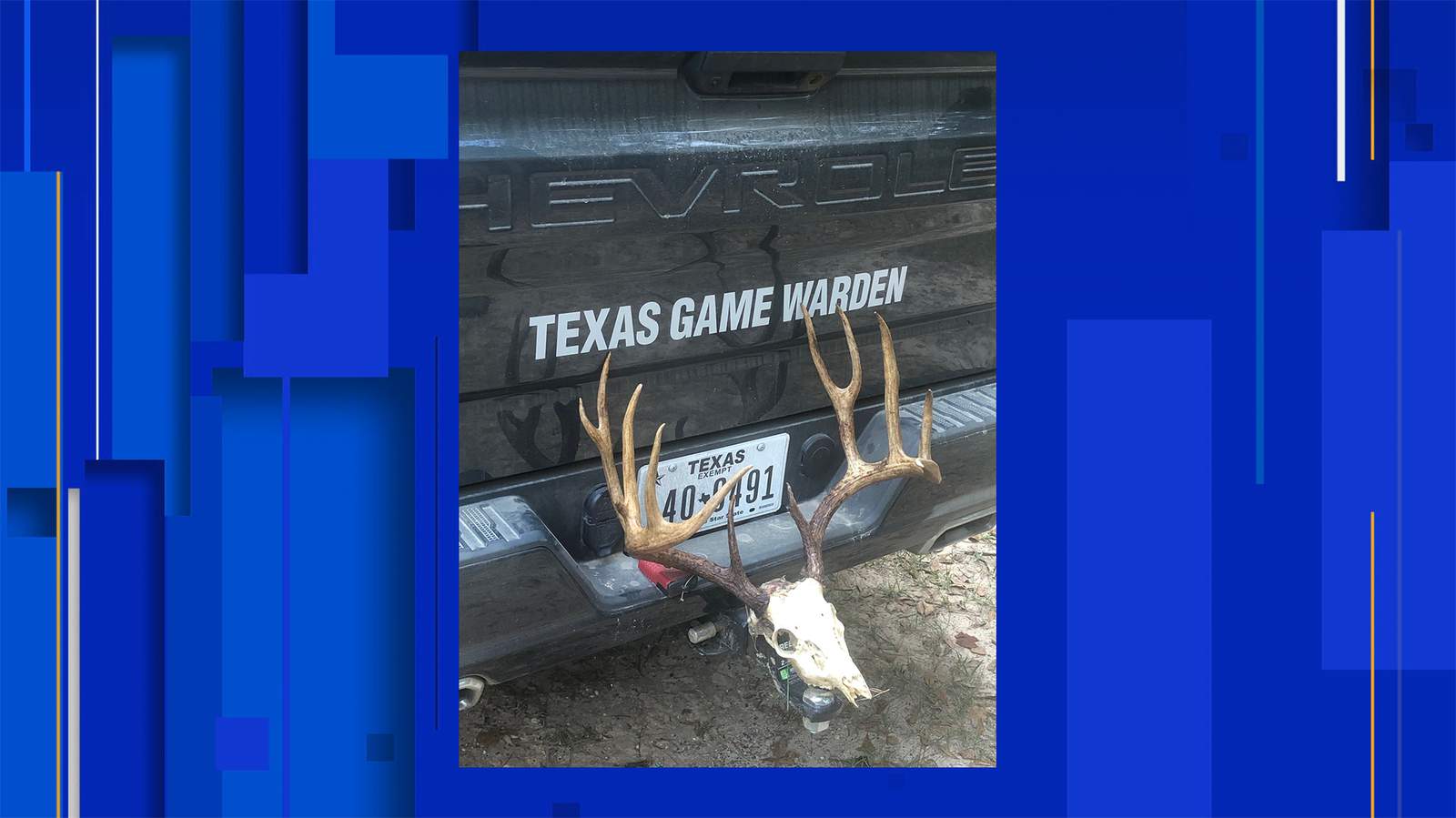 Texas Game Wardens tipped off to illegal whitetail deer kill in Angelina County through social media