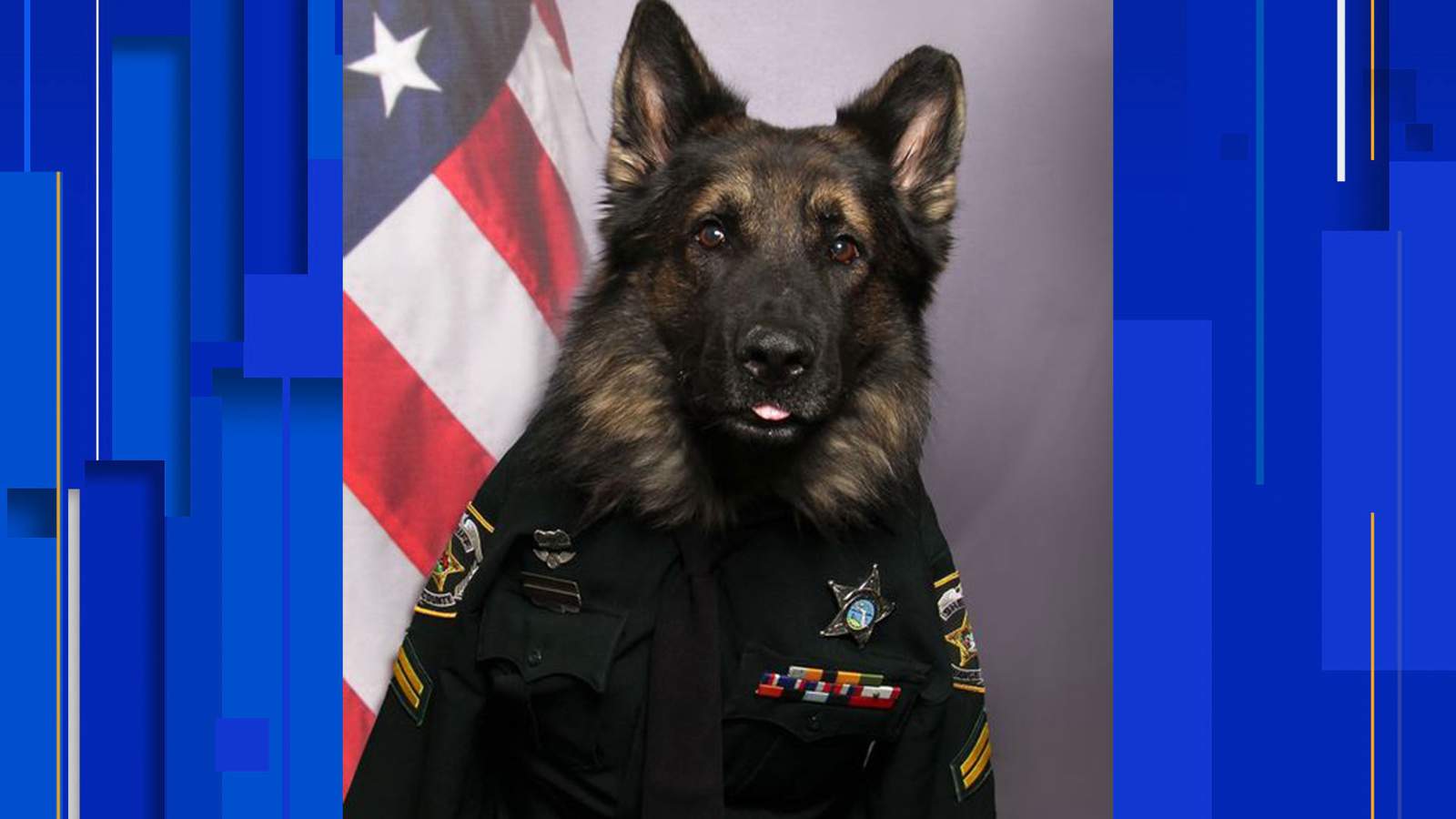 Internet is loving this Florida K-9 officer who wore tie for ID badge photo