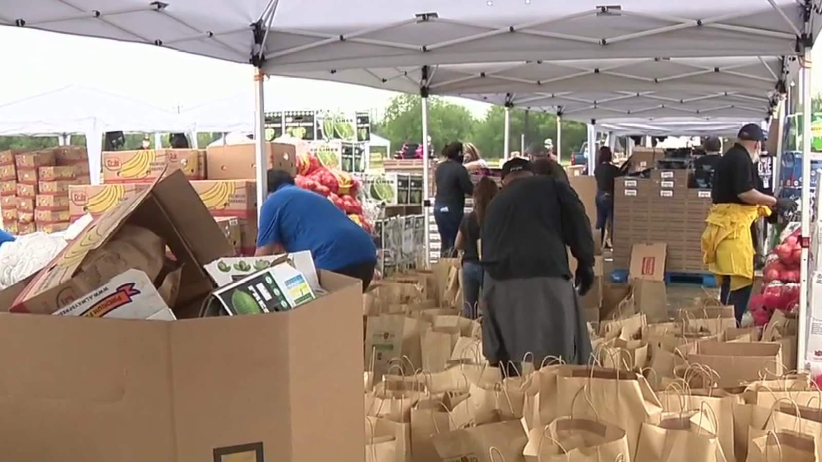 1,200 families receive donations from SA Food Bank mega distribution site