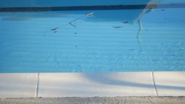 4-year-old girl dies in accidental drowning