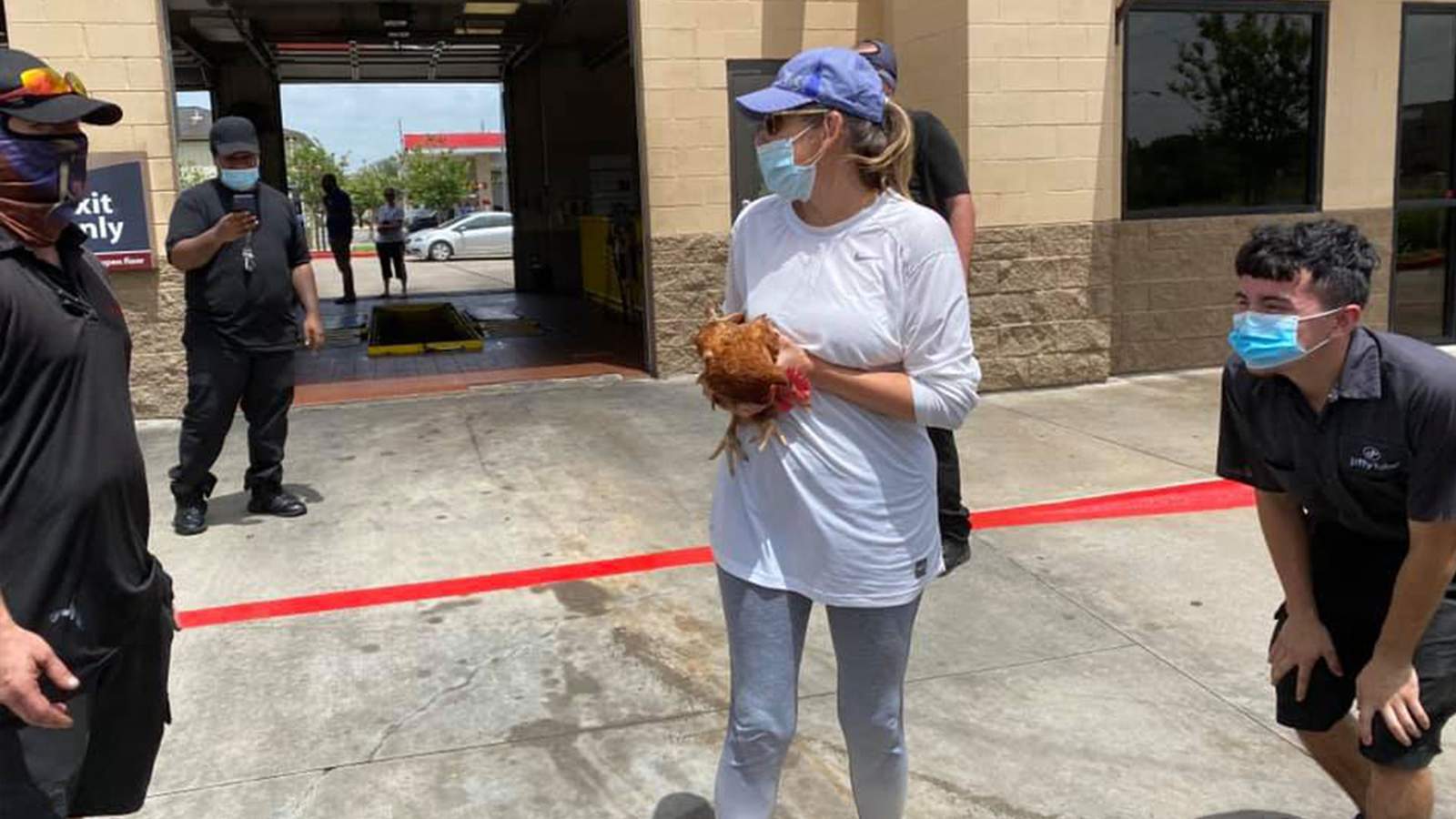 Maam, is this your chicken? Another Texas clucker flew the coop, this time to Jiffy Lube