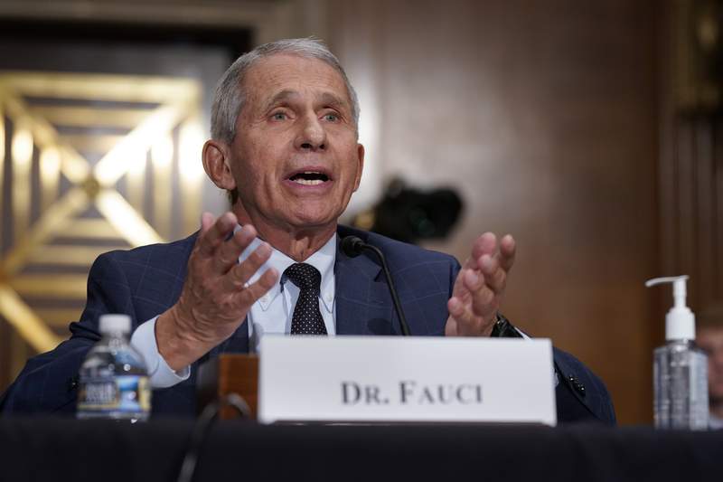 Fauci hopeful COVID vaccines get full OK by FDA within weeks