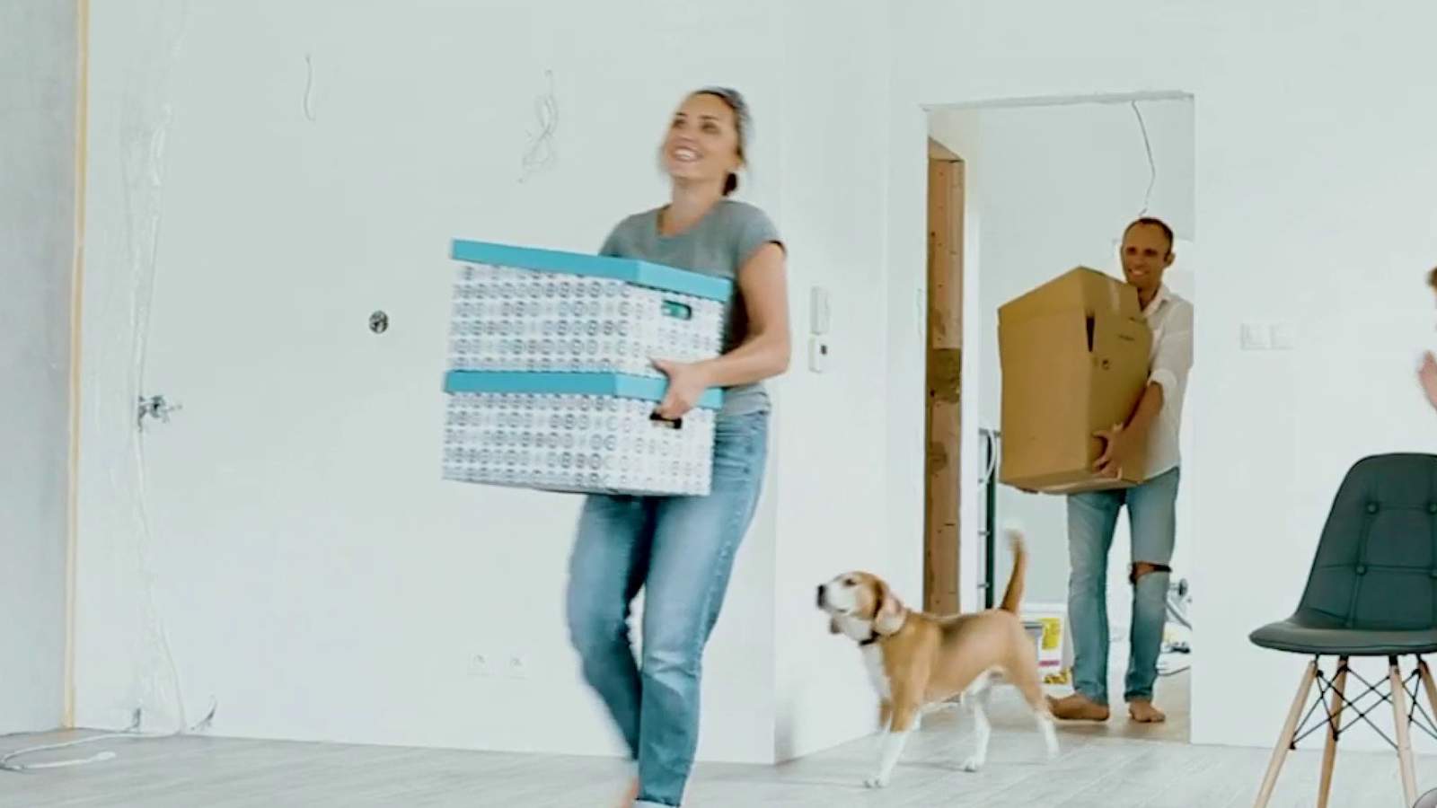 How to make moving with a dog easier