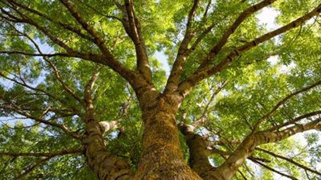 No description available