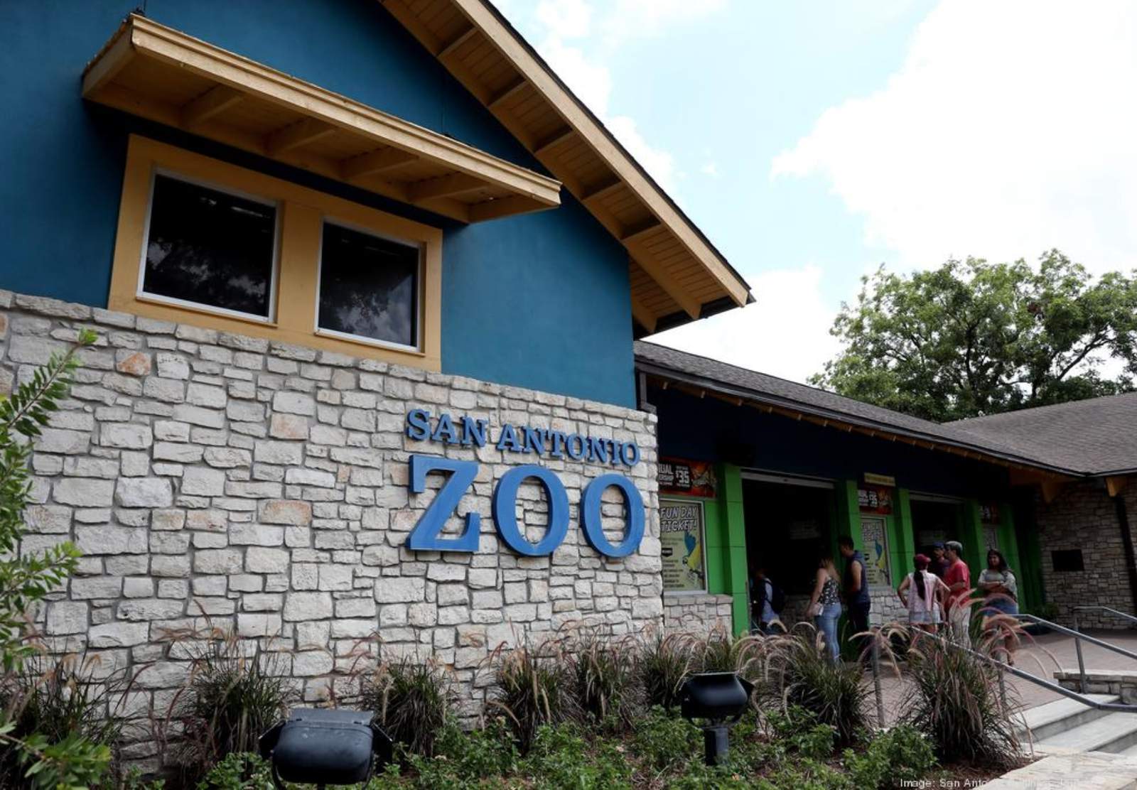Admission to San Antonio Zoo is $8 on Friday for locals