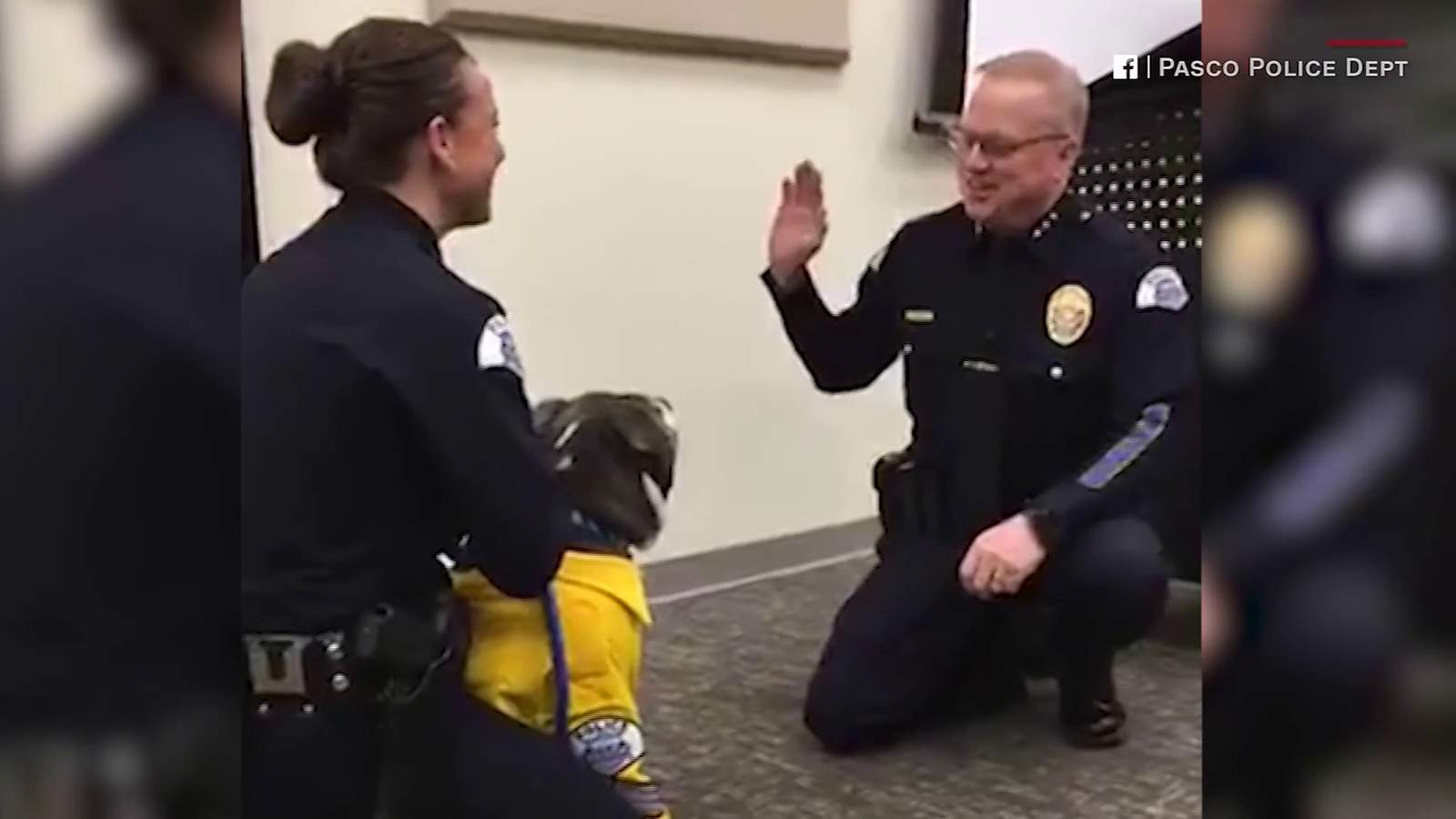 A terminally ill rescue dog became a police K-9 for a day