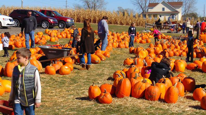 Community Gallery: Share your 2021 pumpkin patch pictures