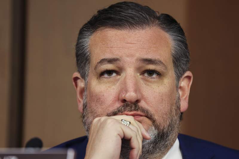 Ted Cruz gets called out for lambasting Democrats who fled Texas after he left during deadly winter storm