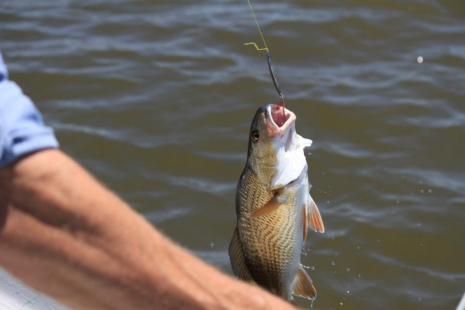 Have some ‘reel fun’ close to home at these San Antonio fishing spots